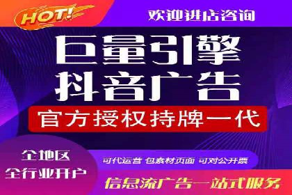 某品牌SEM广告投放的全程记录与效果分析